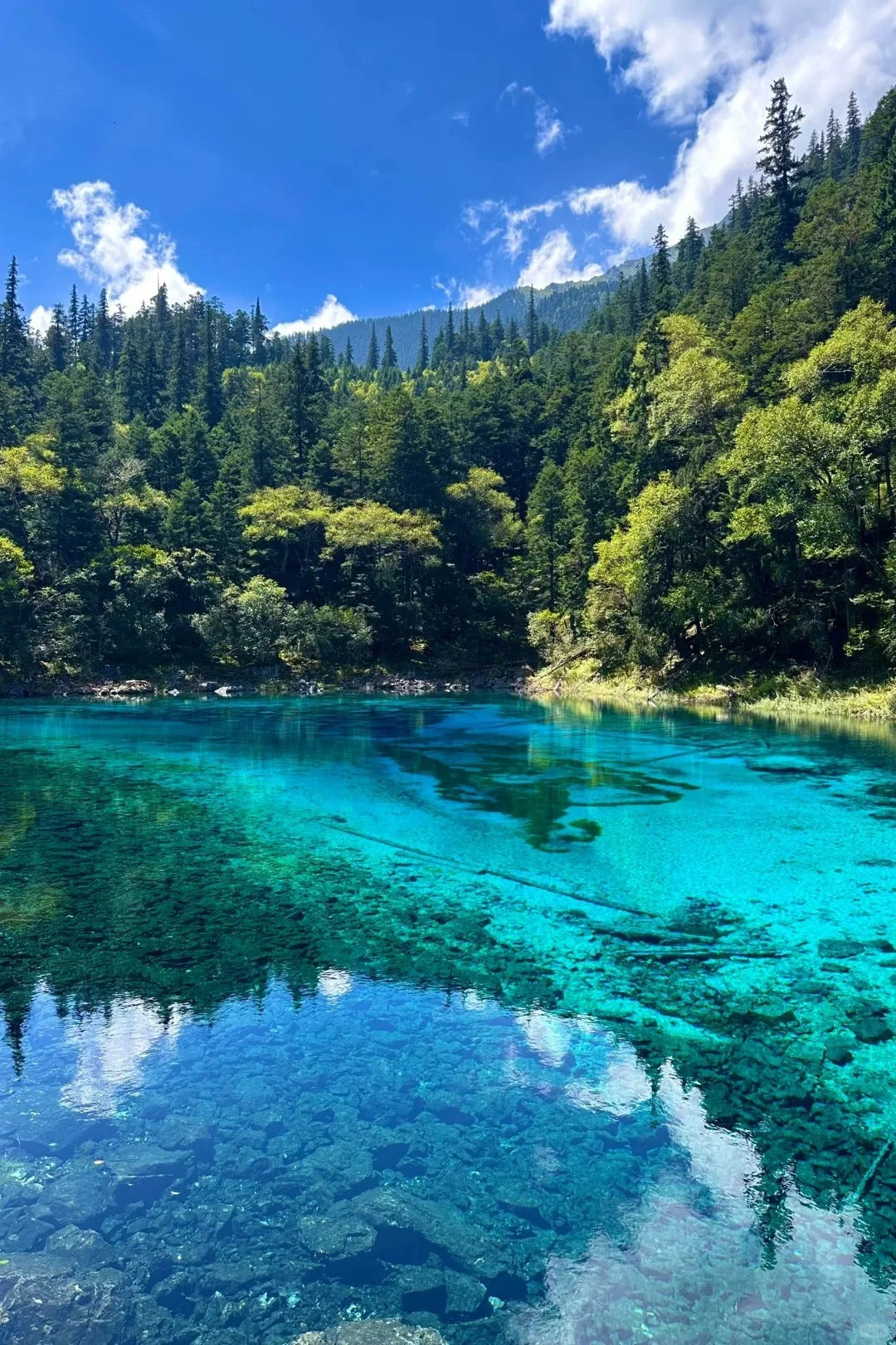 China Travel Online Consultation