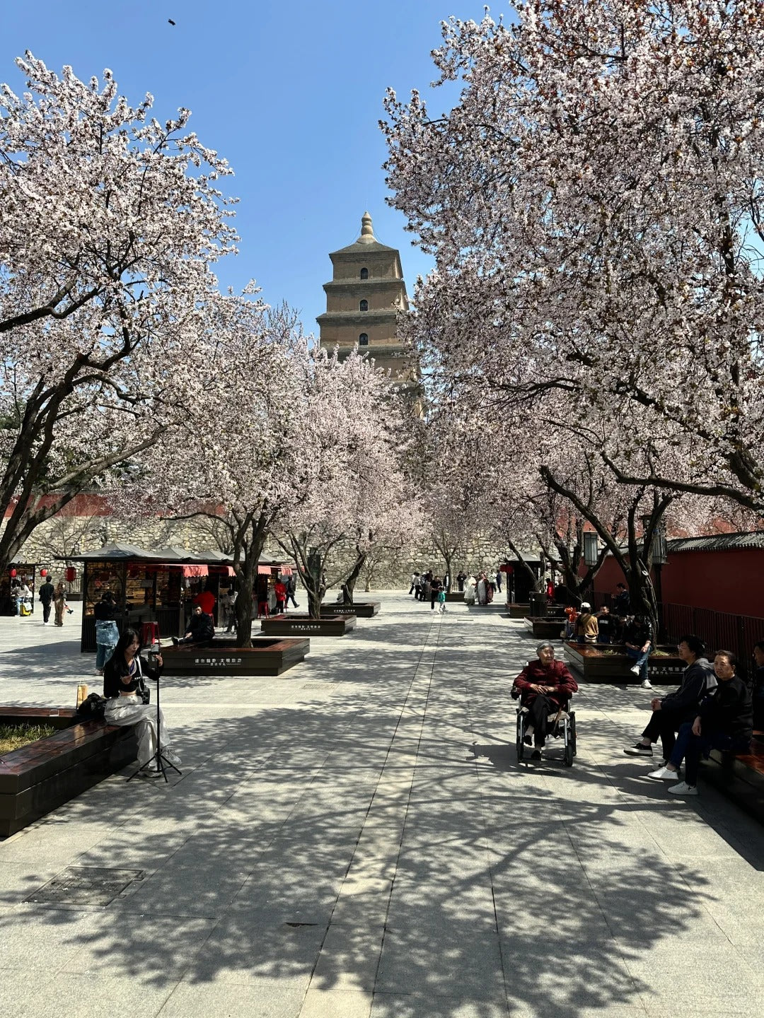 5 Days 4 Nights Chinese Culture Experience Tour Bronze Plan